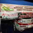 Juhász Csaba: Éjszakából Parasznyára