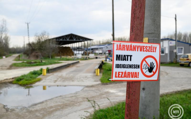 Újabb két telepen jelent meg Győr-Moson-Sopron vármegyében a ragadós száj- és körömfájás vírusa